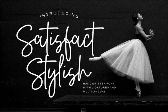 Download Satisfact Stylish - Premium Resources